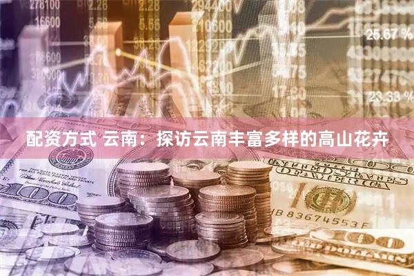 配资方式 云南：探访云南丰富多样的高山花卉